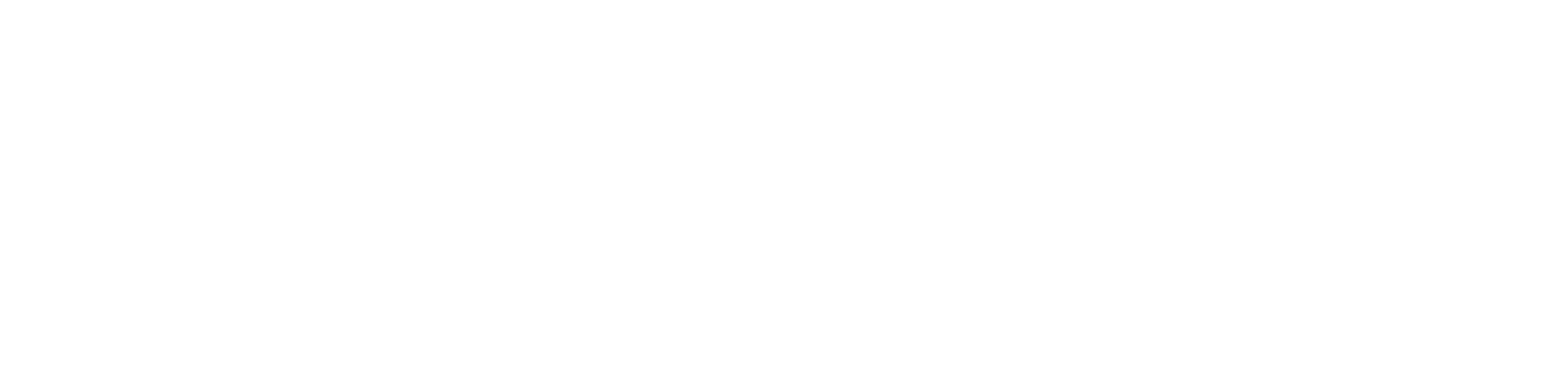 GSDMCC